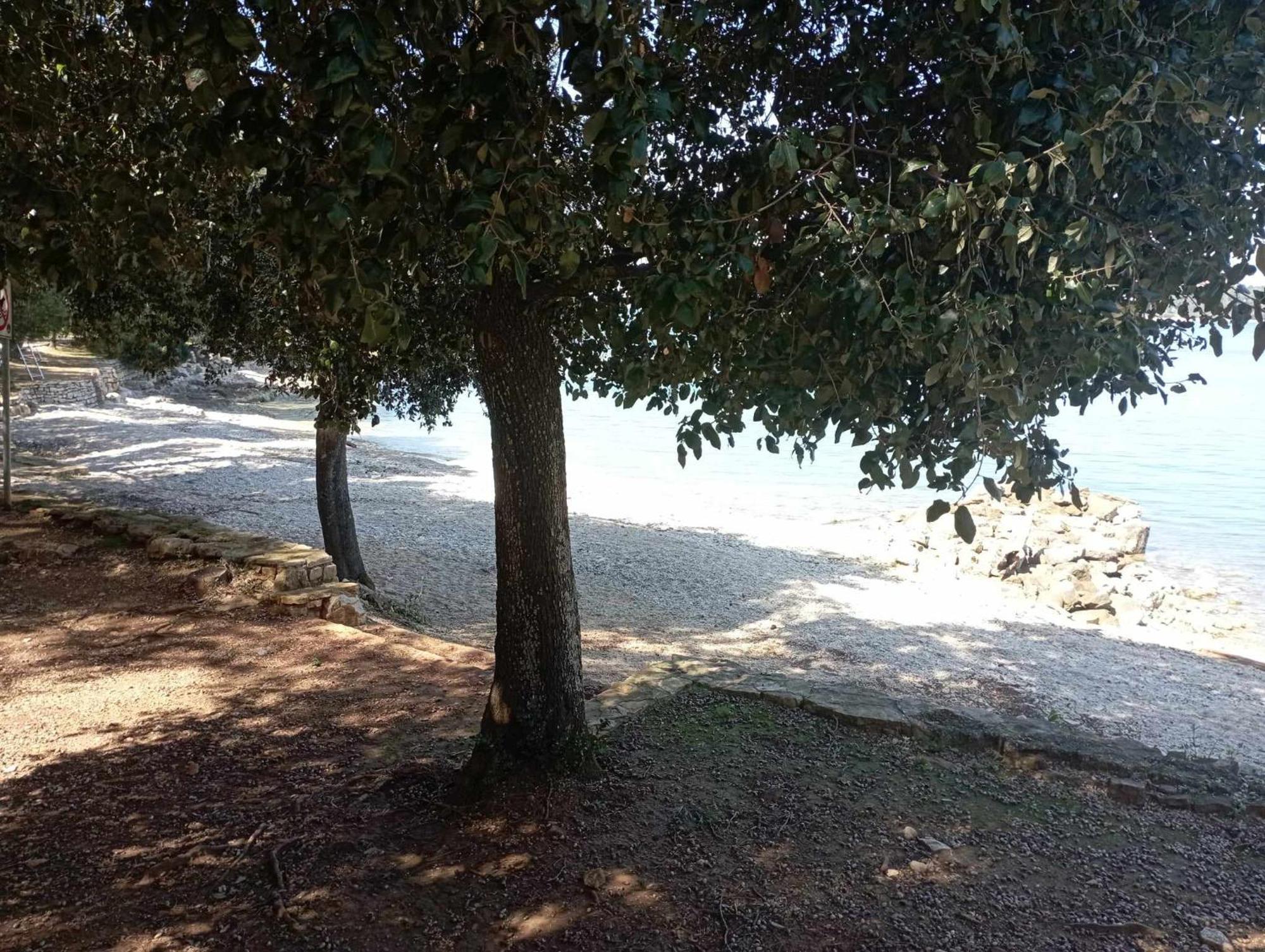 Apartman Angela Rovinj Extérieur photo